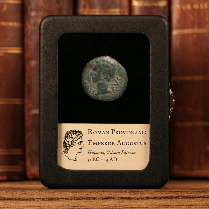 Hispania, Emperor Augustus (First Roman Emperor), AE Unit, Colonia Patricia - 31 BCE to 14 CE - Roman Provinces