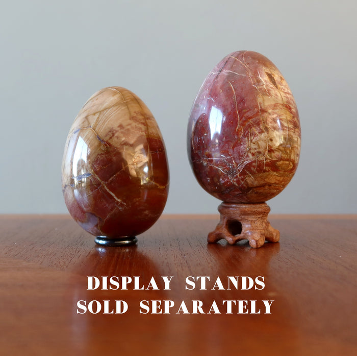 Petrified Wood Egg Timeless Strength Brown Red Crystal