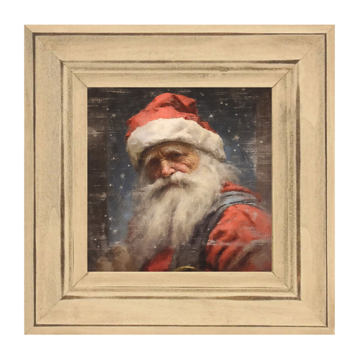 Santa portrait 12