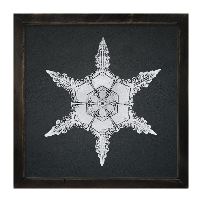Snowflake-F