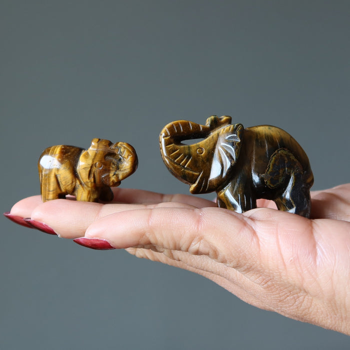 golden tigers eye elephants