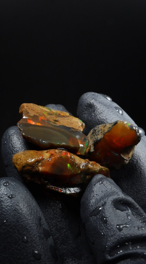 12.65g Rough Ethiopian Welo Specimen Opal Parcel
