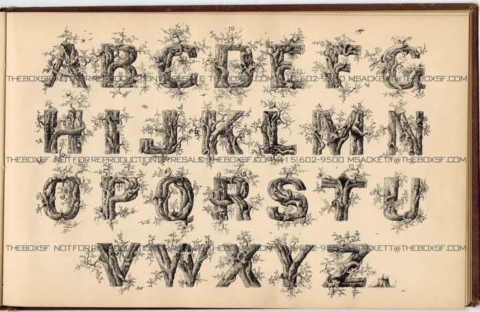 1879 Antique AMES' ALPHABETS Full Book PDF ONLY, Typography, Lettering, Design