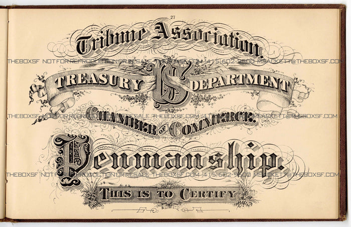 1879 Antique AMES' ALPHABETS Full Book PDF ONLY, Typography, Lettering, Design