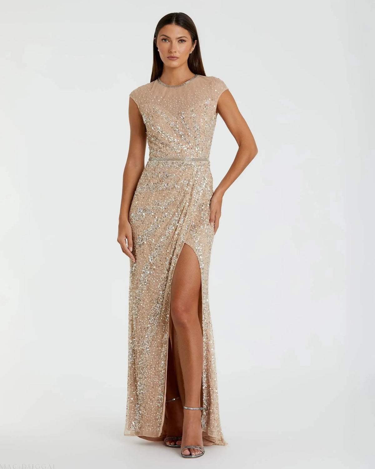 Beige Embellished Illusion High Neck Cap Sleeve Gown