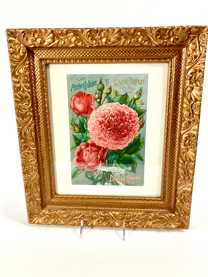 Antique Framed NEW GUIDE TO ROSE CULTURE 1897 Cover Lithograph