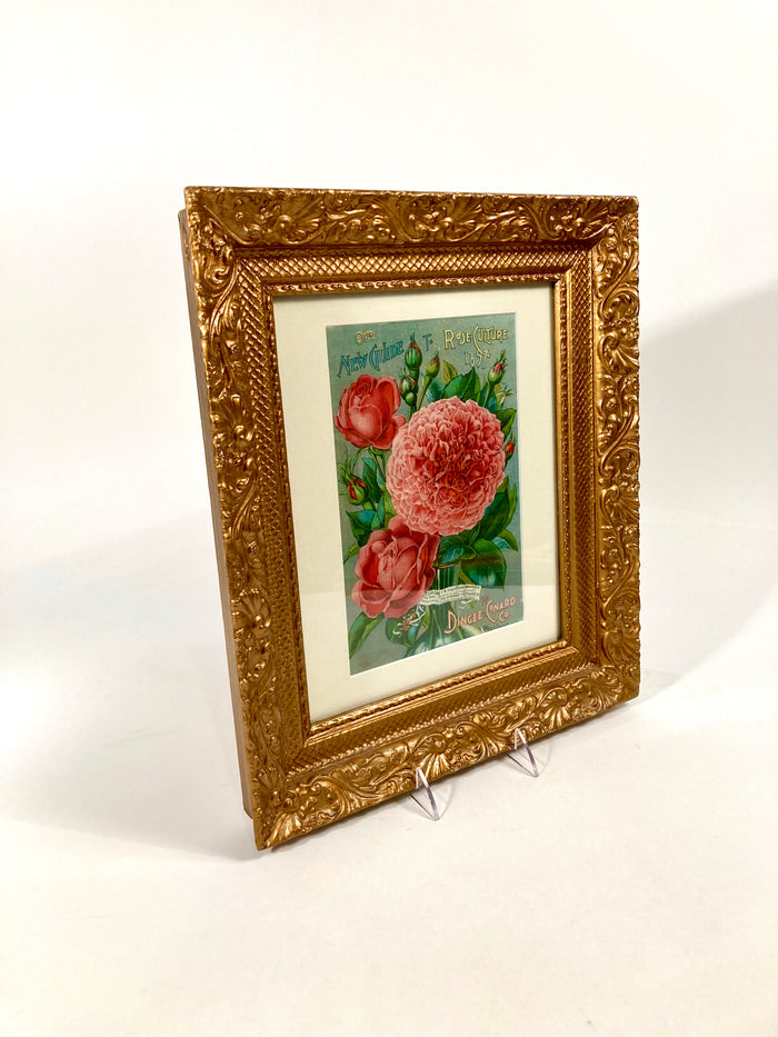 Antique Framed NEW GUIDE TO ROSE CULTURE 1897 Cover Lithograph