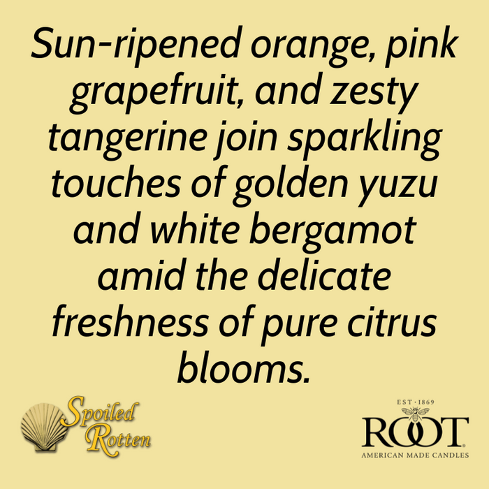 Citron & Bergamot Large Veriglass