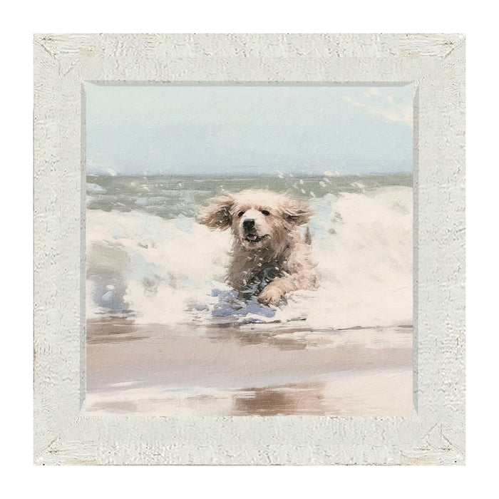 Dog running in water - Framed Art
