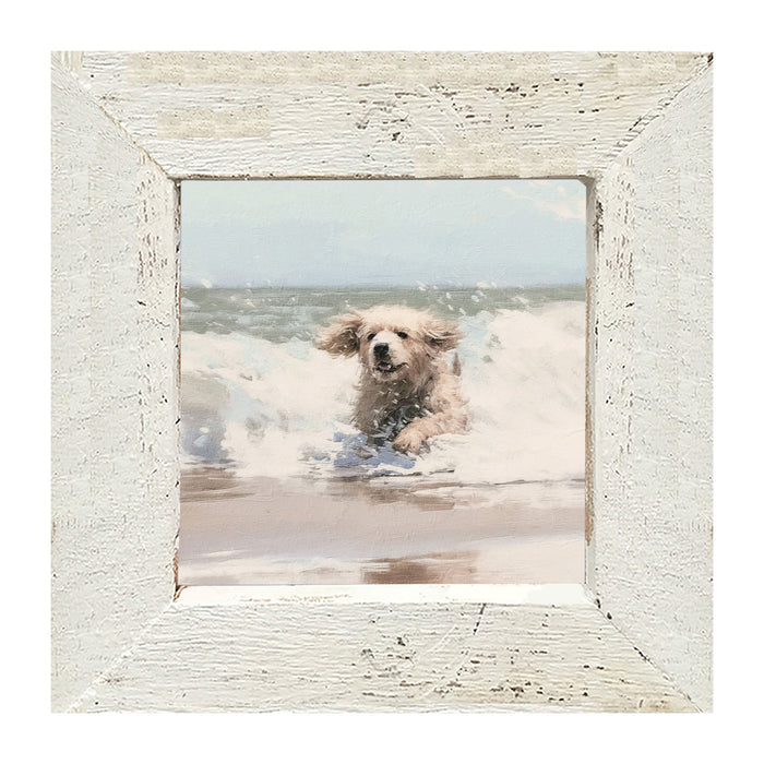 Dog running in water - Framed Art