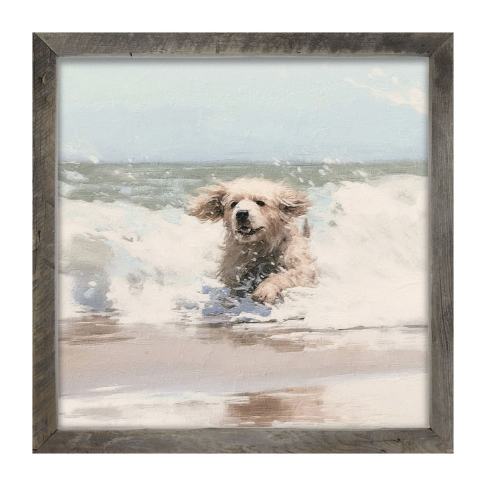 Dog running in water