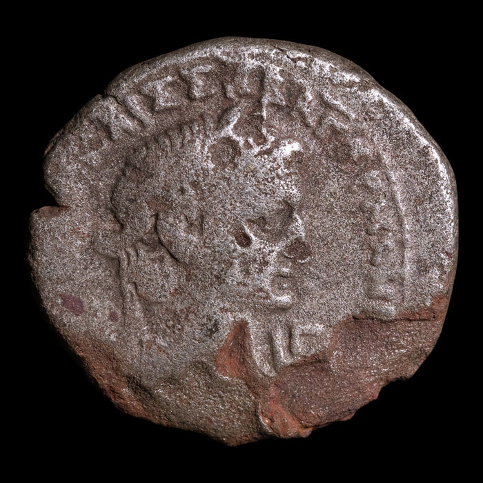 Egypt, Emperor Claudius, BI Tetradrachm, Messalina Reverse - 42 to 43 CE - Roman Provinces