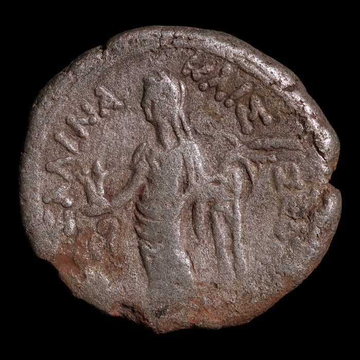 Egypt, Emperor Claudius, BI Tetradrachm, Messalina Reverse - 42 to 43 CE - Roman Provinces