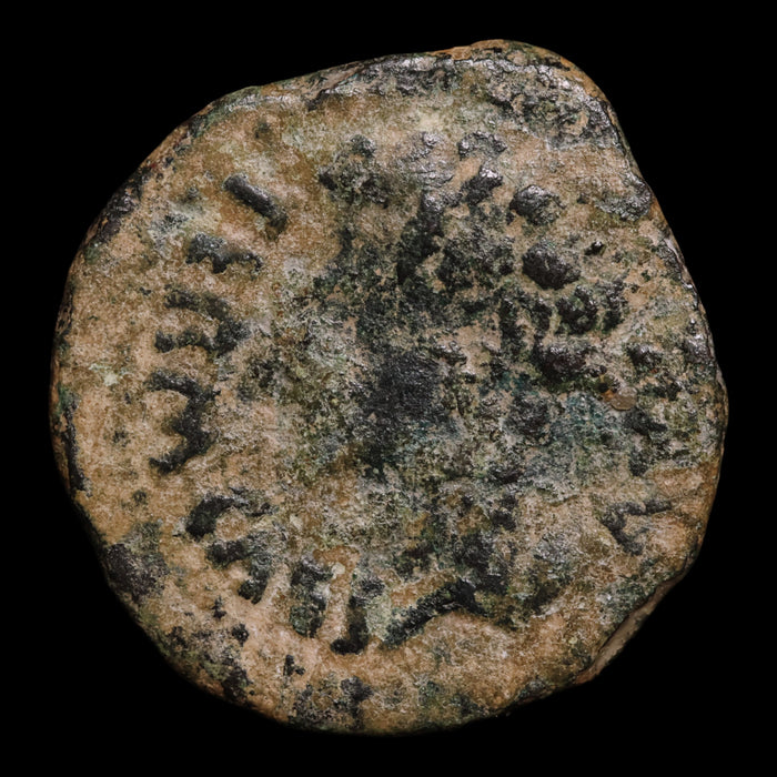 Hispania, Emperor Augustus (First Roman Emperor), AE Unit, Colonia Patricia - 31 BCE to 14 CE - Roman Provinces