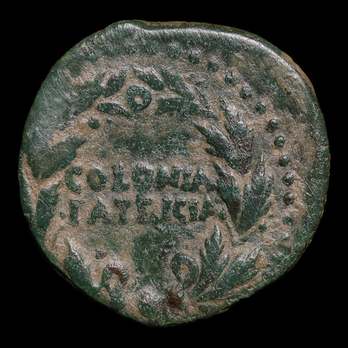 Hispania, Emperor Augustus (First Roman Emperor), AE Unit, Colonia Patricia - 31 BCE to 14 CE - Roman Provinces