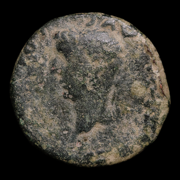Hispania, Emperor Tiberius (Second Roman Emperor), AE Unit - 14 to 37 CE - Roman Provinces