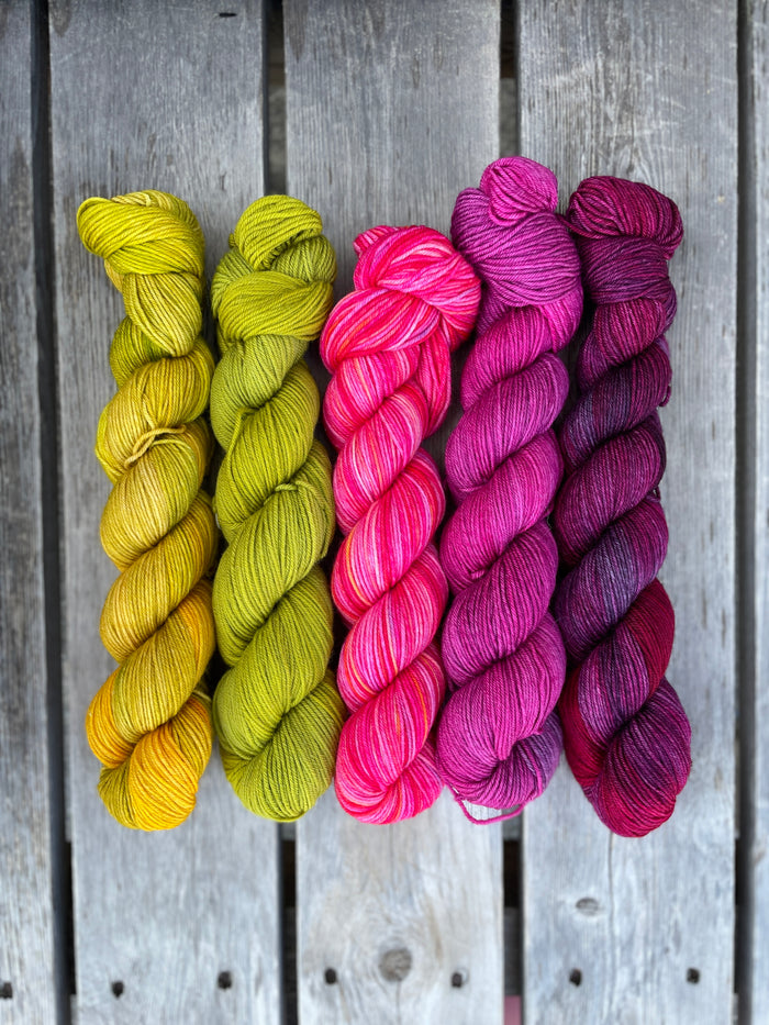 Meridian Quintet Bundle by Seven Sisters Arts