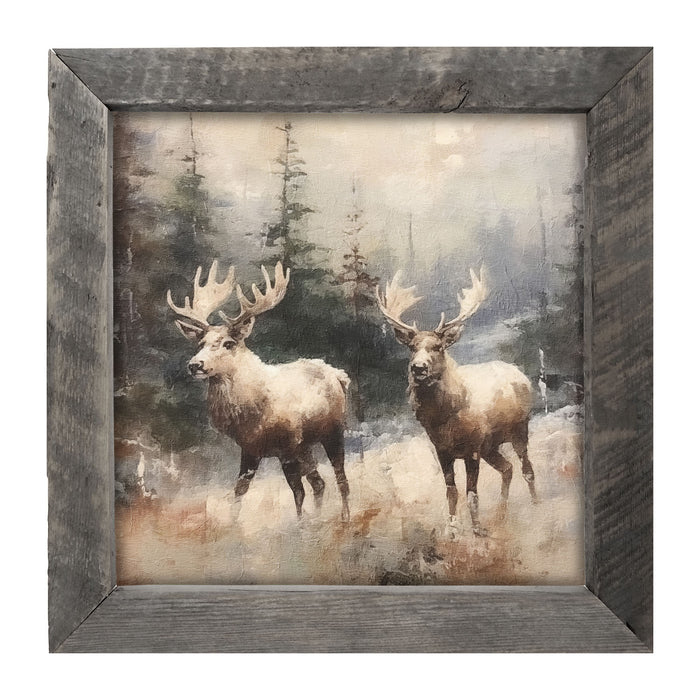 Moose pair