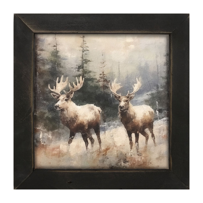 Moose pair