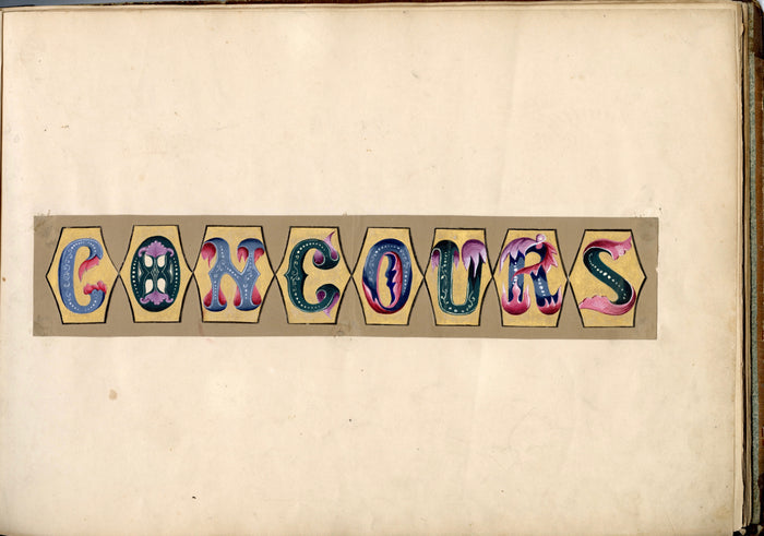 Original 1840's HAND DRAWN French Calligraphic, Penmanship Album PDF ONLY, 32 Original Leaves, Bound Book