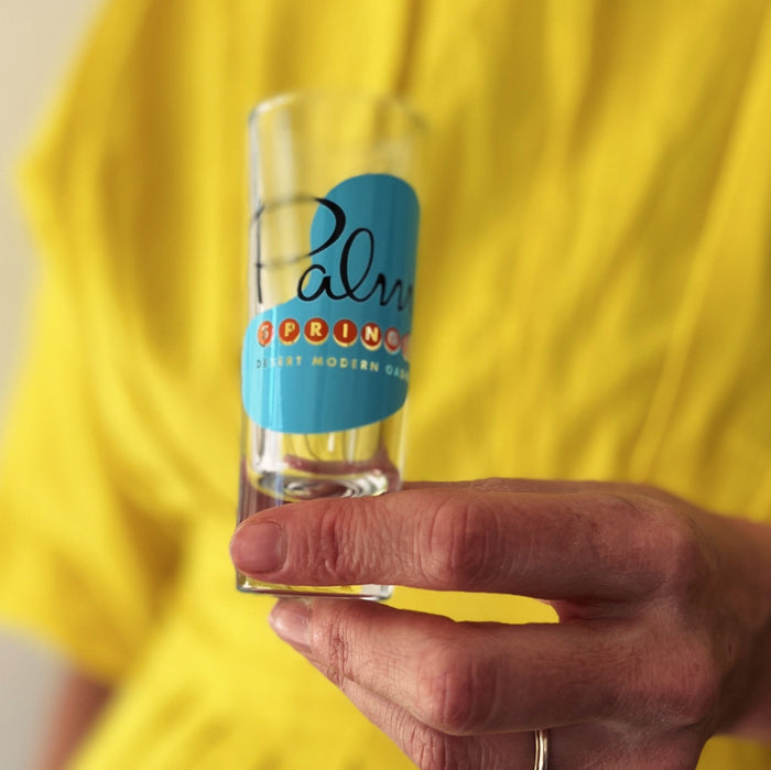 Palm Springs Shot Glass - Multicolored (Set of 4) - Destination PSP