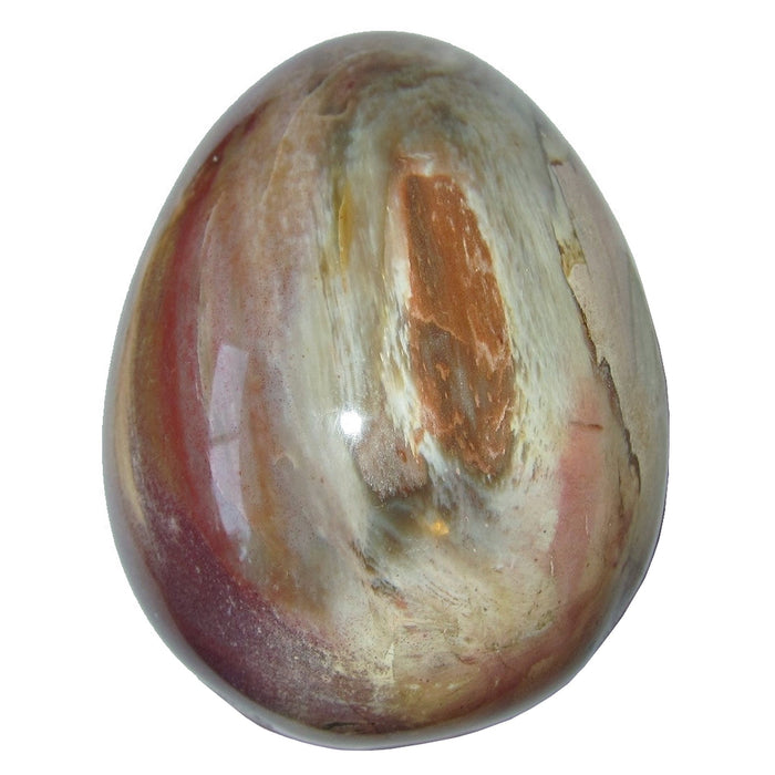 Petrified Wood Egg Timeless Strength Brown Red Crystal