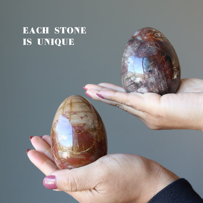 Petrified Wood Egg Timeless Strength Brown Red Crystal