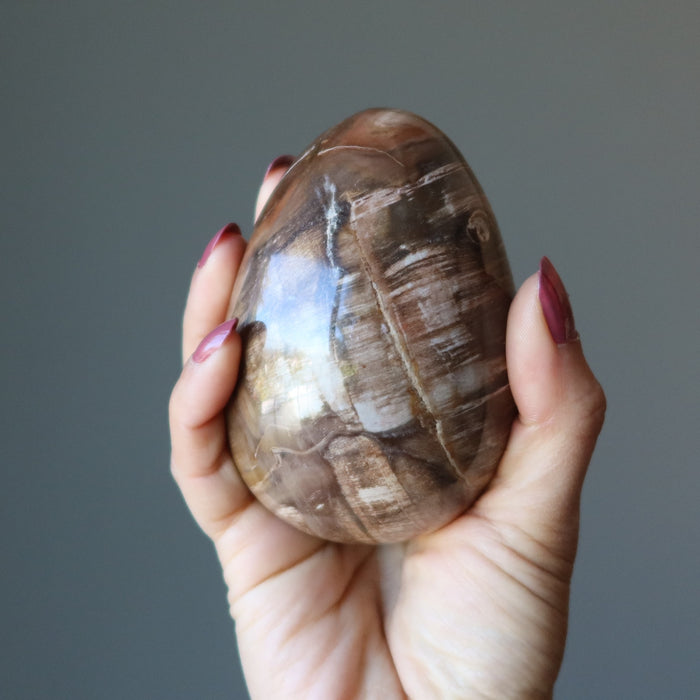 Petrified Wood Egg Timeless Strength Brown Red Crystal