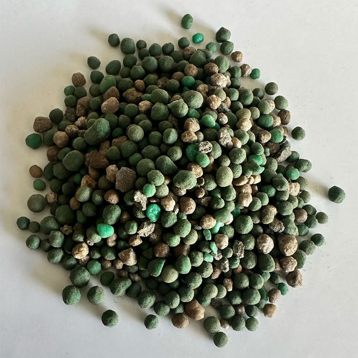Real Growers Grow Dots EXTENDED Veg Programmed Release Plant Fertilizer 75 gram