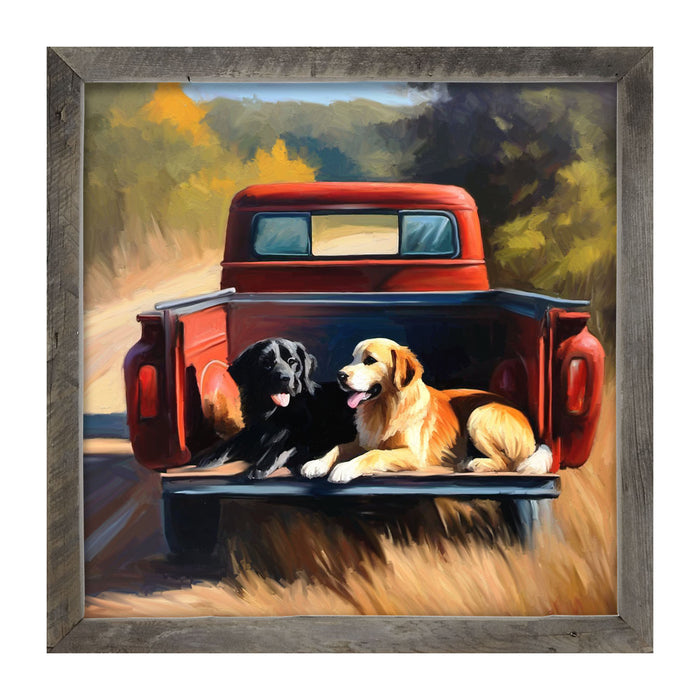 Resting dogs in truck