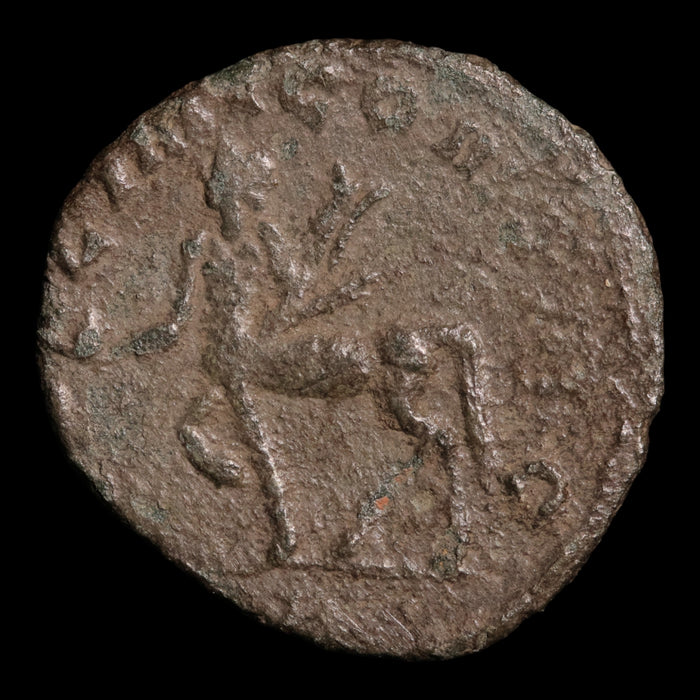 Rome, Emperor Gallienus, AR Antoninianus, Centaur Reverse - 260 to 268 CE - Roman Empire