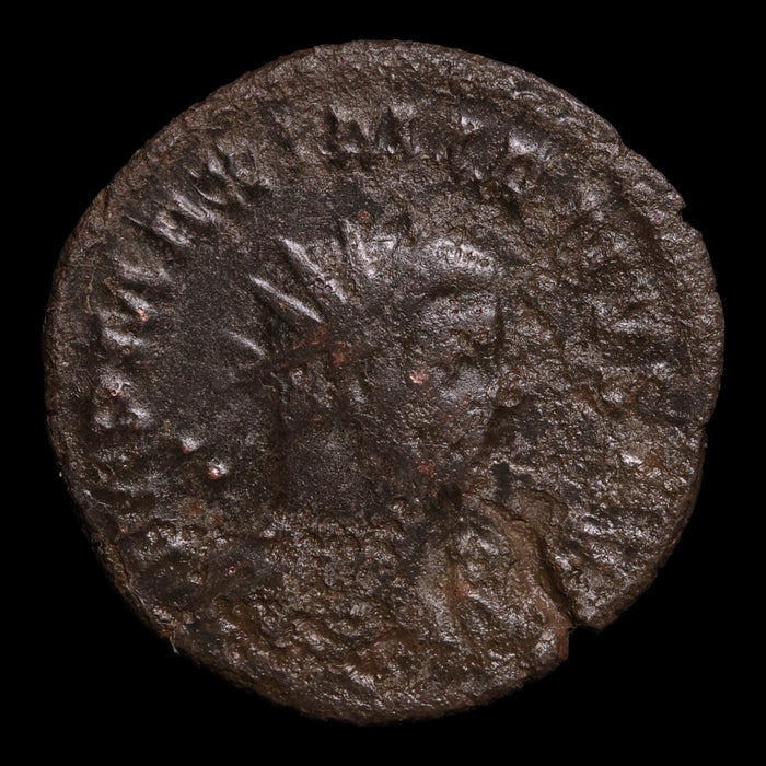 Rome, Emperor Maximian, AR Antoninianus, Pax (Goddess of Peace) - 292 to 294 CE - Roman Empire