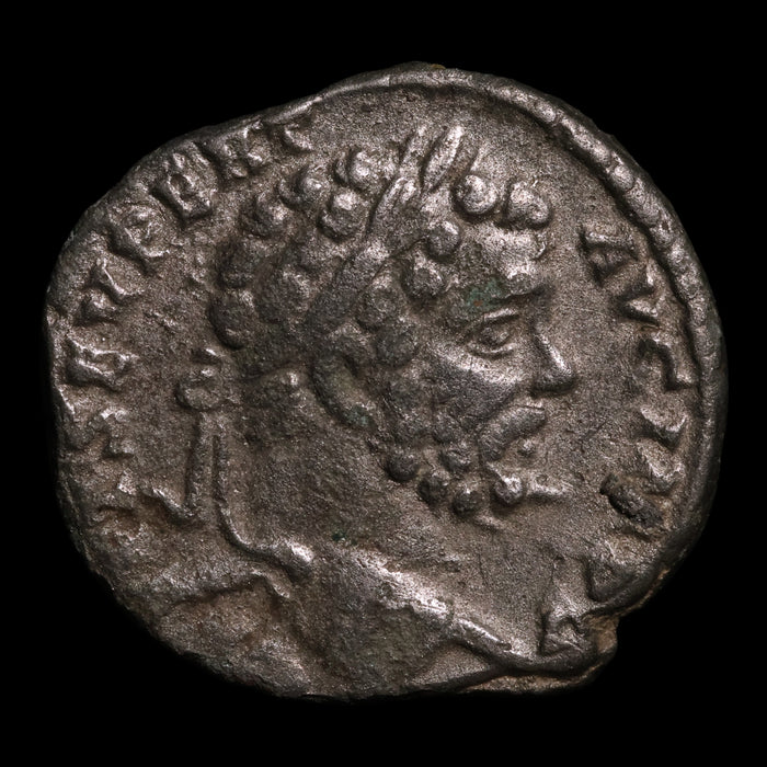 Rome, Emperor Septimius Severus, AR Denarius, Minerva (Goddess of Wisdom) - 195 CE - Roman Empire
