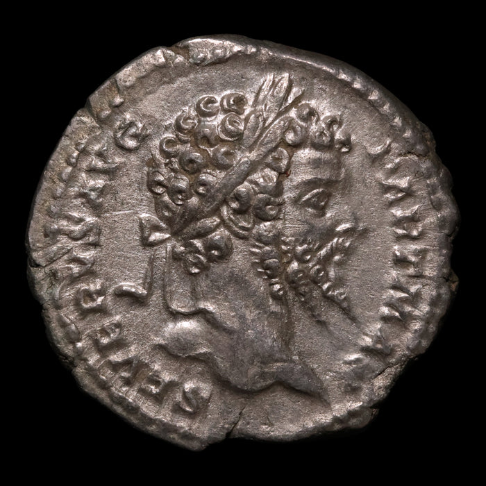 Rome, Emperor Septimius Severus, AR Denarius, Providentia (Deity of Prediction) - 200 to 201 CE - Roman Empire