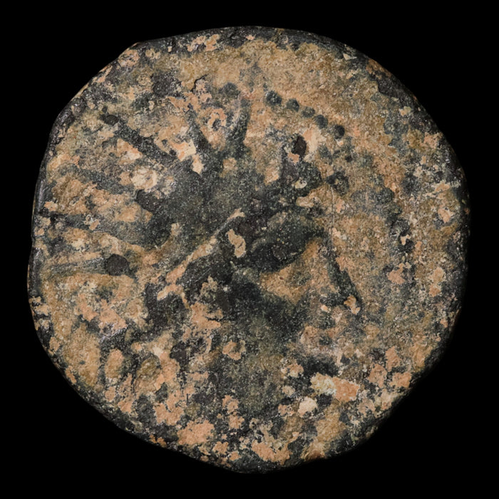 Seleucid Empire, King Antiochus VIII, AE Unit - 121 to 110 BCE - Greek World