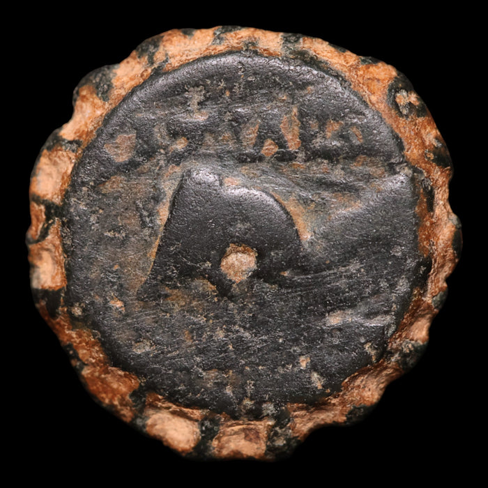 Seleucid Empire, King Demetrius I Soter, AE Unit, Horse & Elephant - 162 to 150 BCE - Greek World