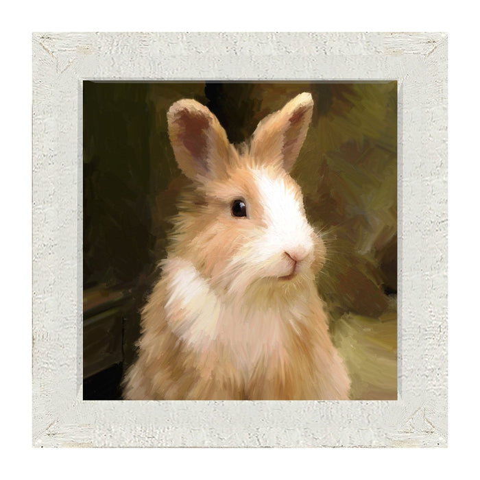 Sitting Rabbit - Framed Art