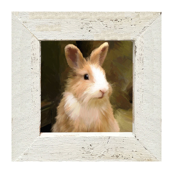 Sitting Rabbit - Framed Art
