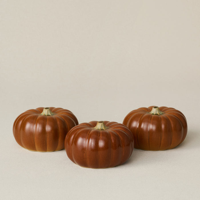 Small Pumpkin, Marmalade