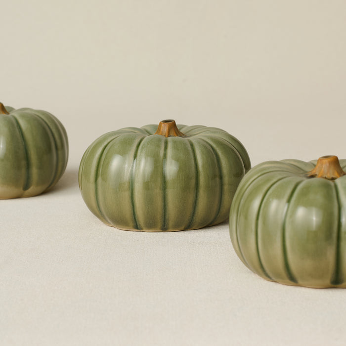 Small Pumpkin, Silver Sage