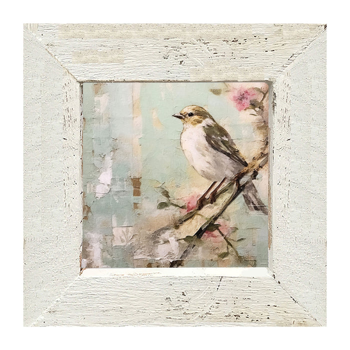 Small white-breasted bird - Framed Art