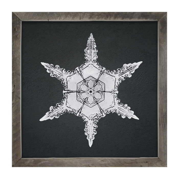 Snowflake-F