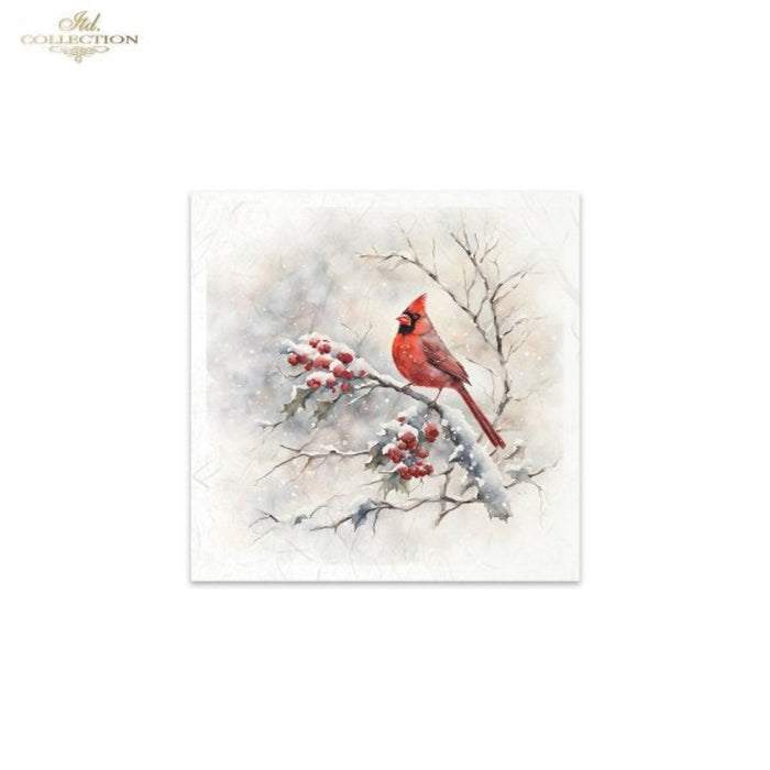 Snowy Cardinals Birds