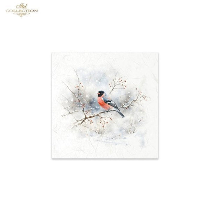 Snowy Cardinals Birds