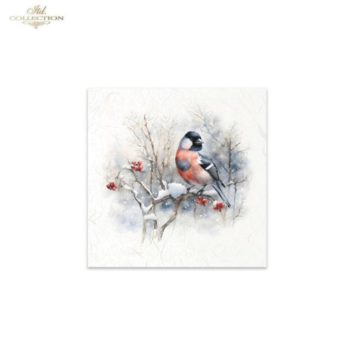 Snowy Cardinals Birds