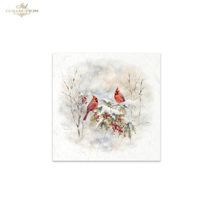 Snowy Cardinals Birds