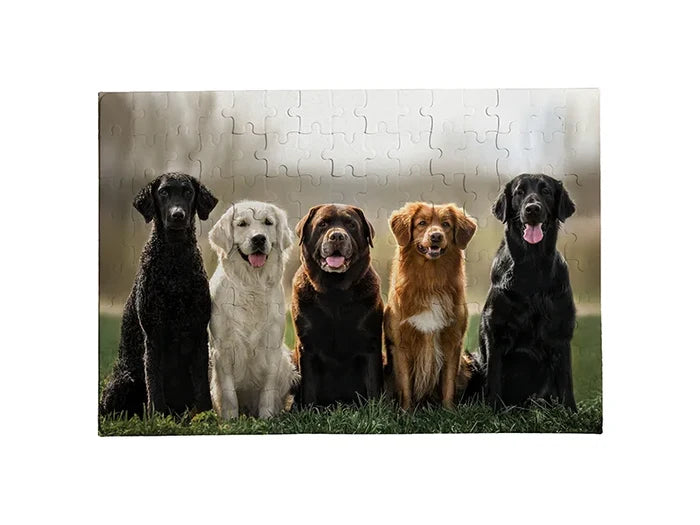 Sublimation A4 Paper Puzzle Without Frame (120 Pieces)