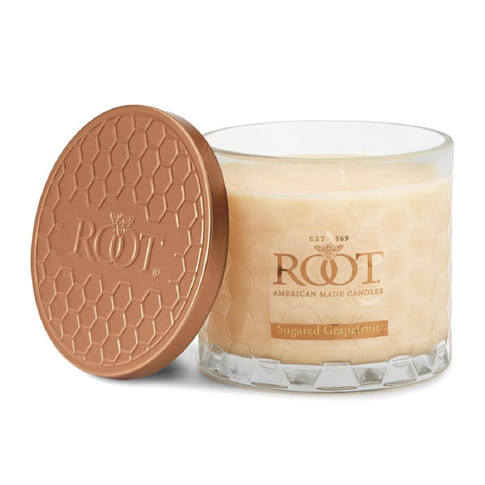 Sugared Grapefruit 3 Wick Honeycomb