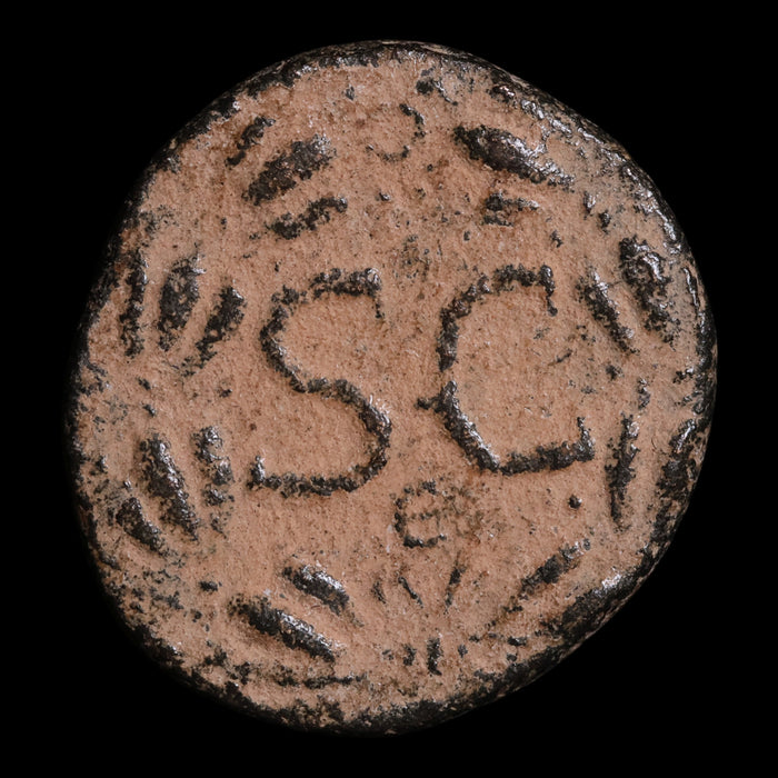 Syria, Antioch, Emperor Trajan, AE Unit - 116 to 117 CE - Roman Provinces