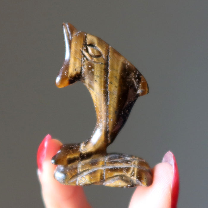 tigers eye dolphin figurine